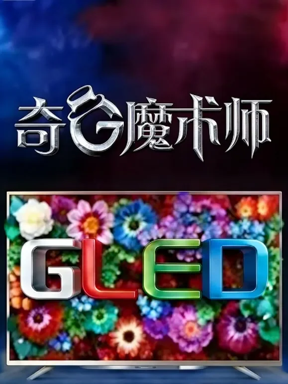 奇G魔术师综艺海报
