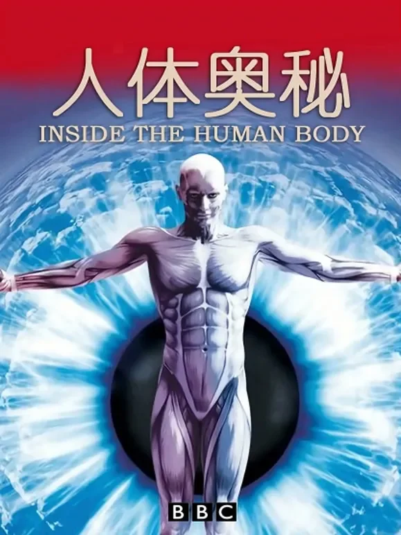 人体奥秘综艺海报