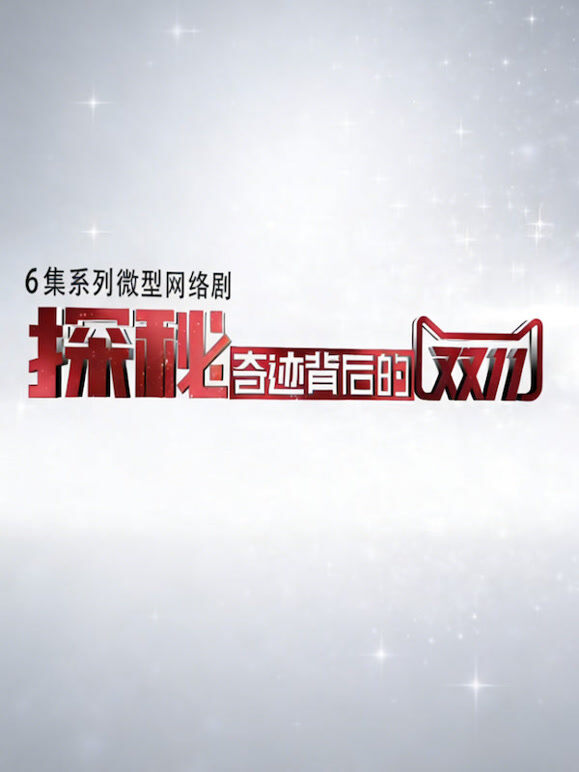 双11：零点之战