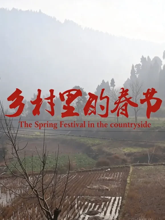 乡村里的春节综艺海报
