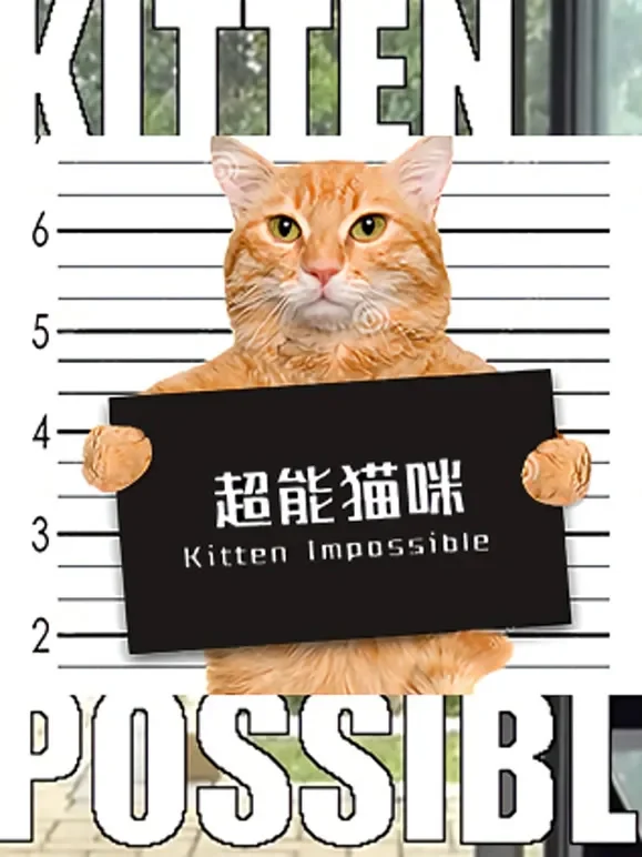 超能猫咪综艺海报