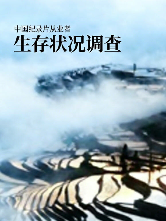 中国纪录片从业者生存状况调查