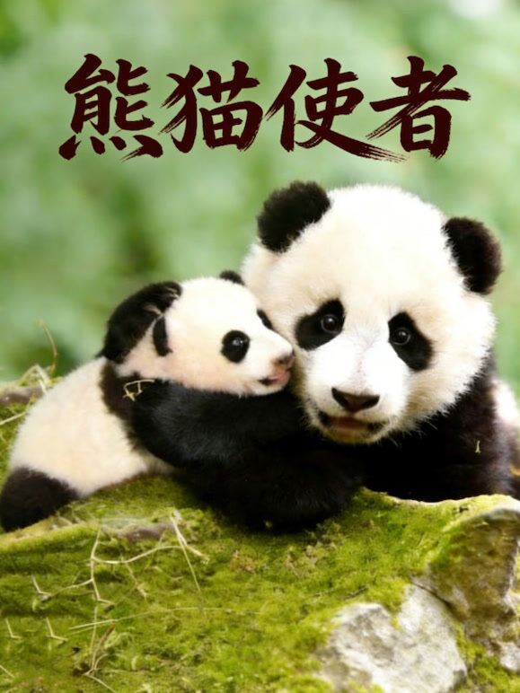 熊猫使者