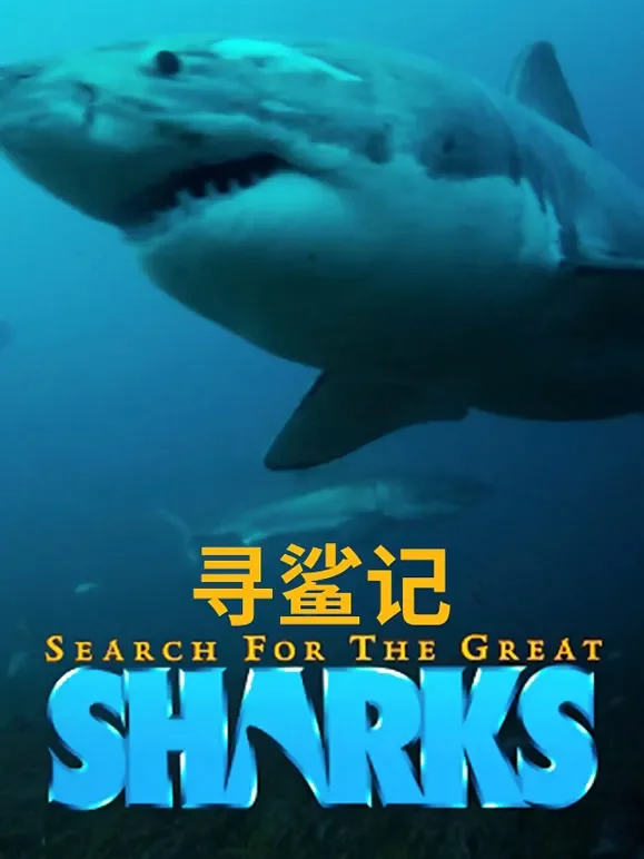 寻鲨记综艺海报