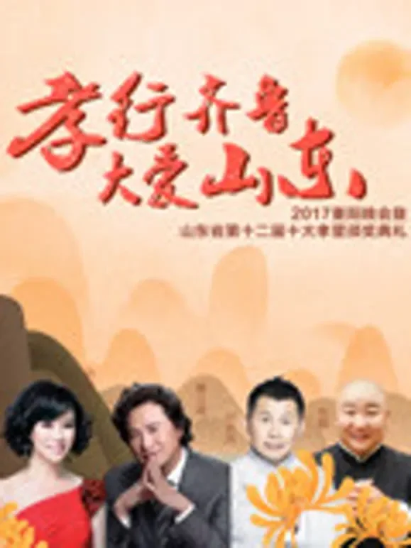2017山东卫视重阳晚会综艺海报