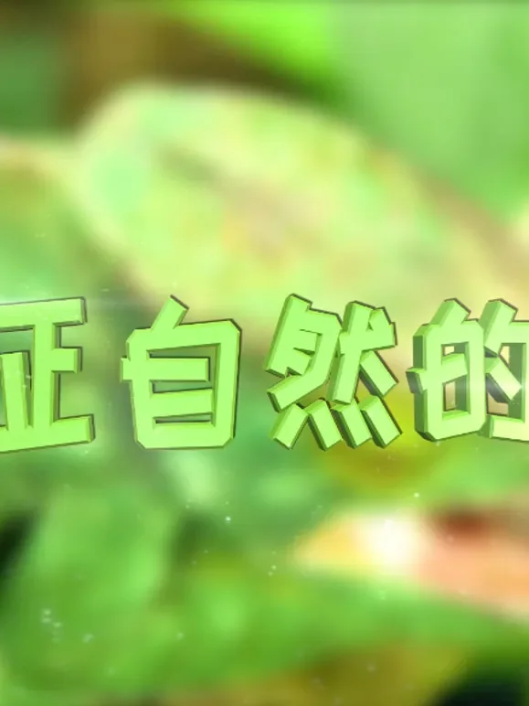 见证自然的奇迹综艺海报