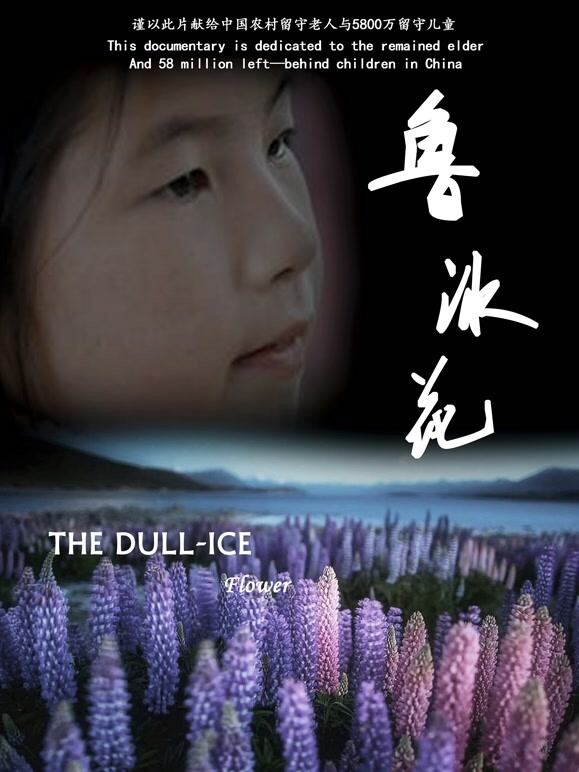 鲁冰花