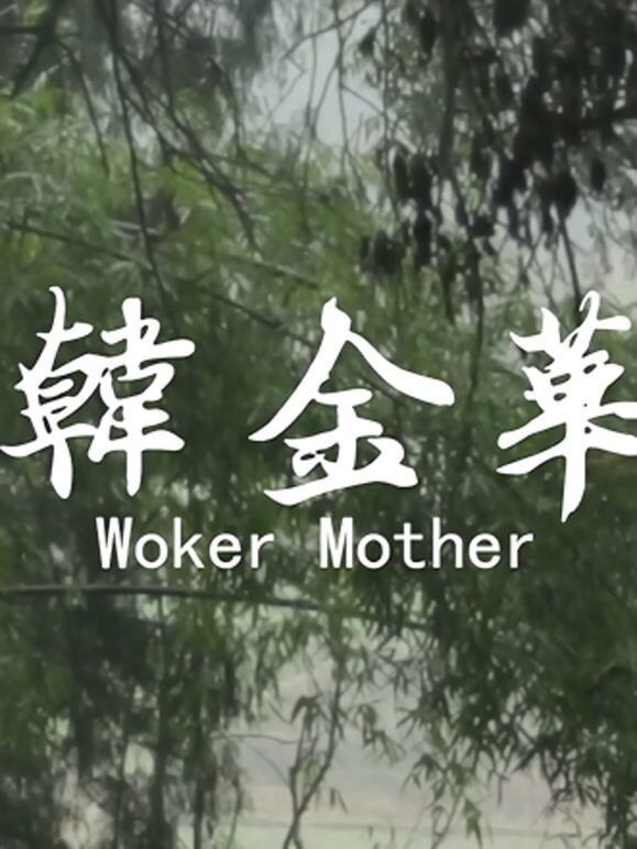 韩金华