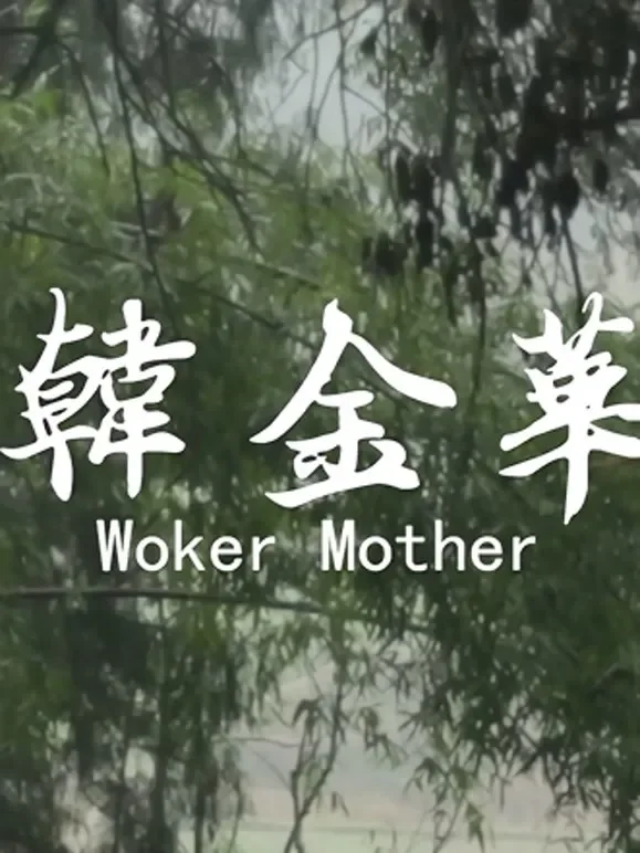 韩金华综艺海报