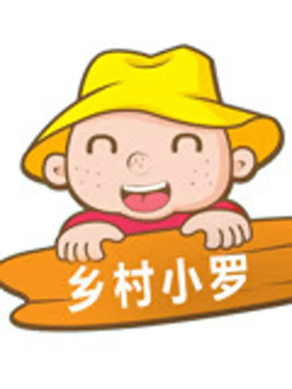 乡村小罗综艺海报