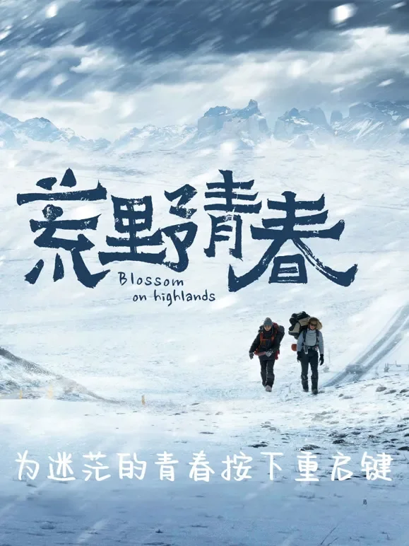 荒野青春综艺海报