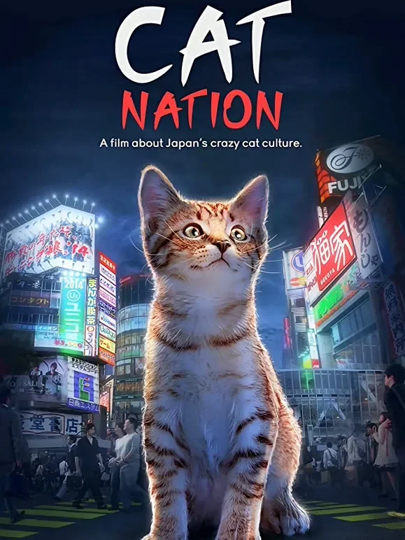 猫的国度综艺海报