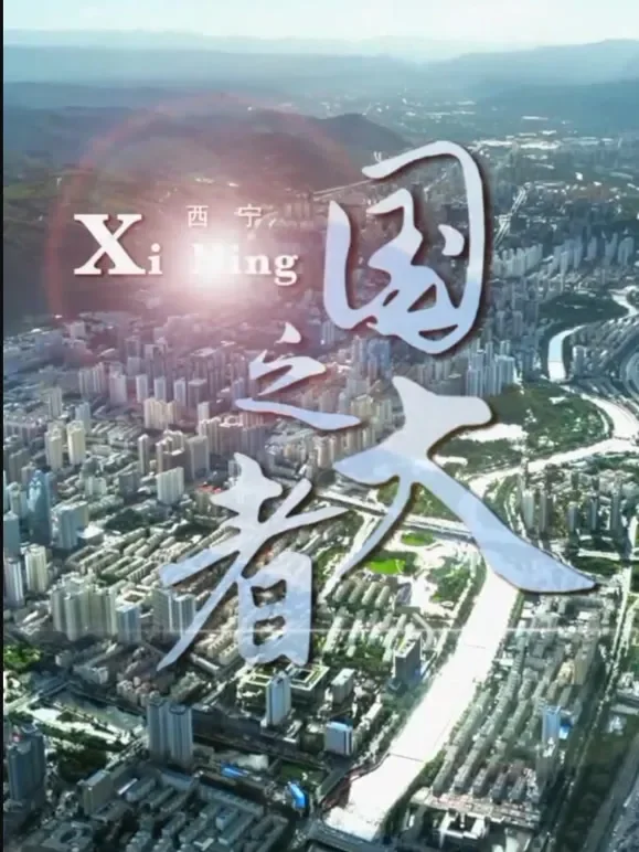 国之大者综艺海报