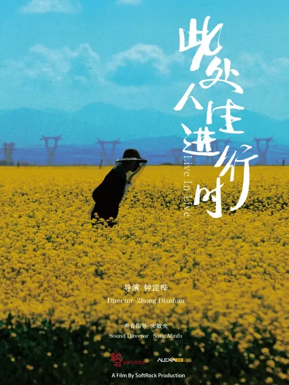 此处人生进行时综艺海报