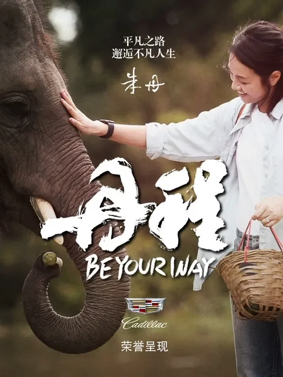 丹程综艺海报