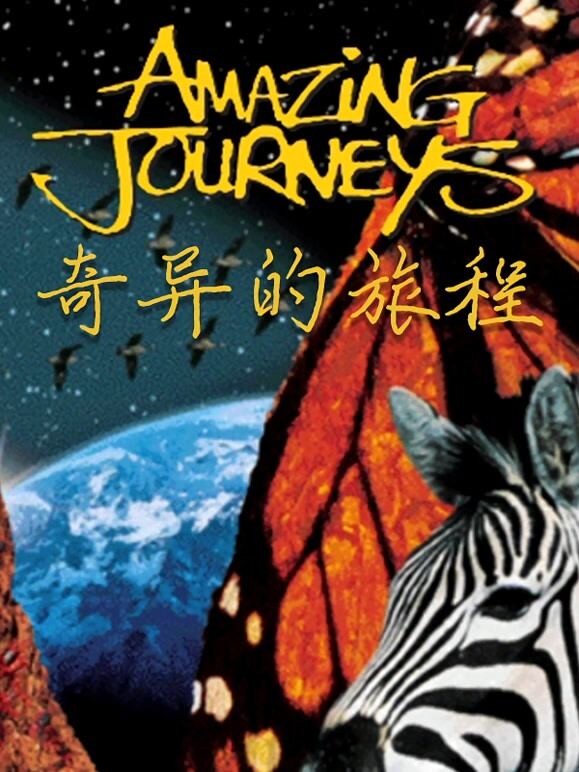 奇异的旅程