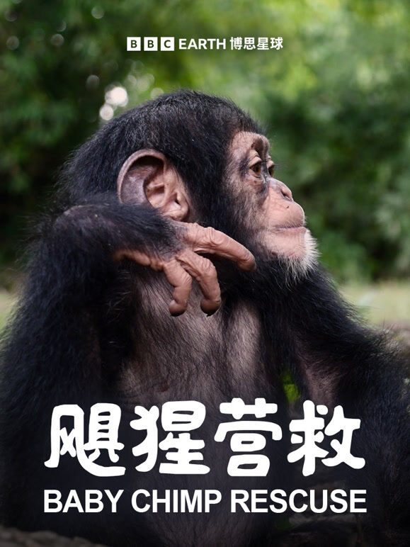 飓猩营救