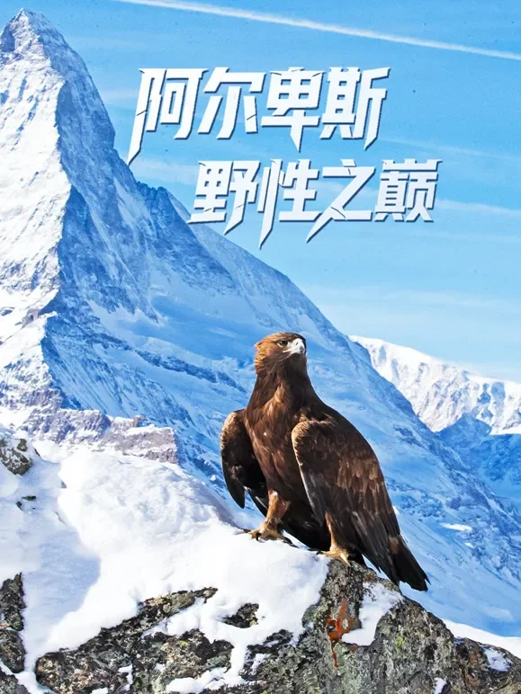 阿尔卑斯：野性之巅综艺海报