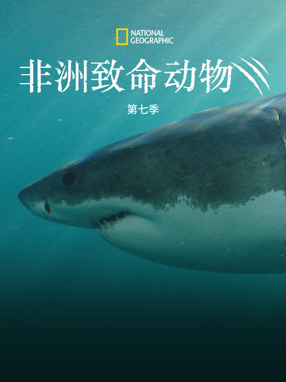 非洲致命动物 第七季