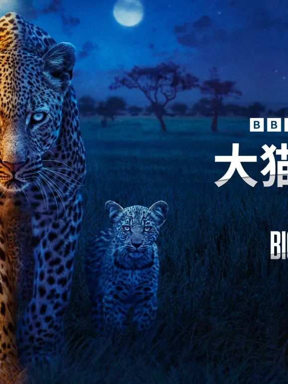 大猫全实录 第二季综艺海报