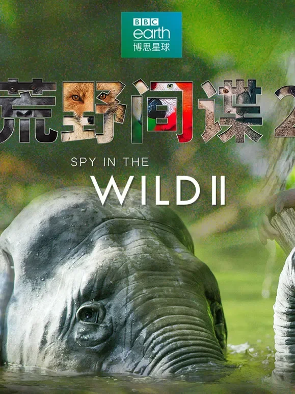 荒野间谍第二季中文版综艺海报