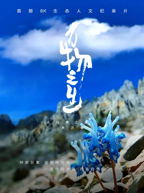 万物之生综艺海报