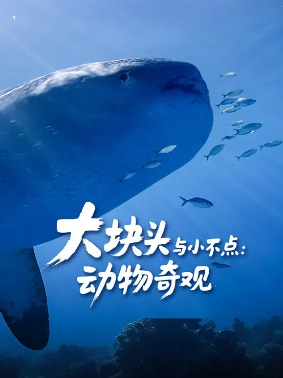 大块头与小不点：动物奇观综艺海报