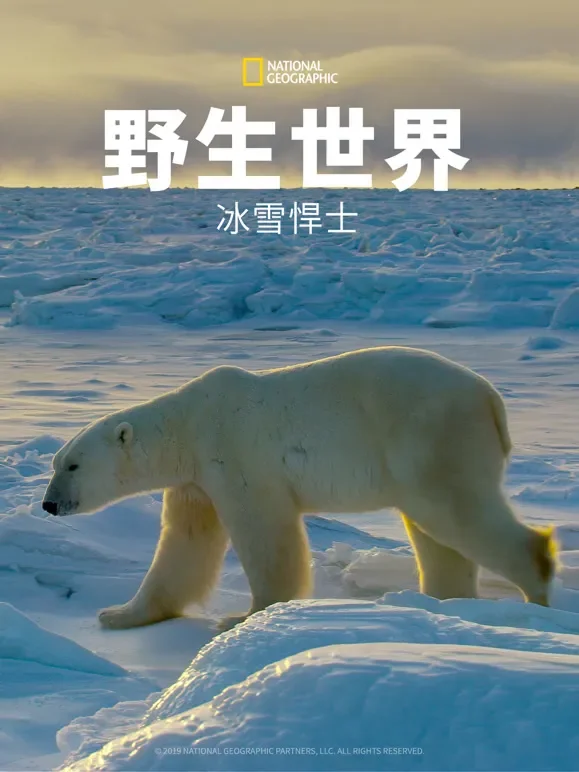 野生世界：冰雪悍士综艺海报