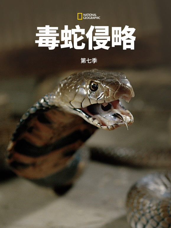 毒蛇侵略 第七季 中配版