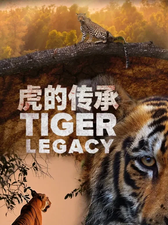 虎的传承综艺海报