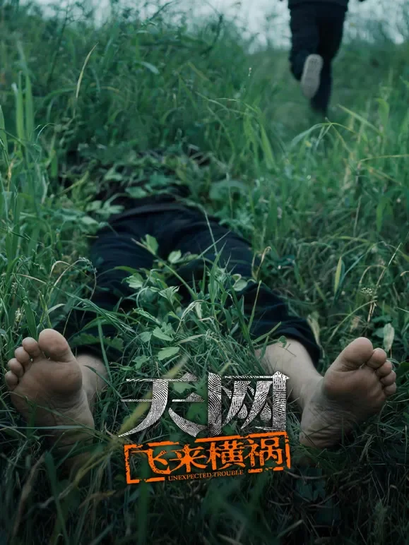 天网：飞来横祸综艺海报