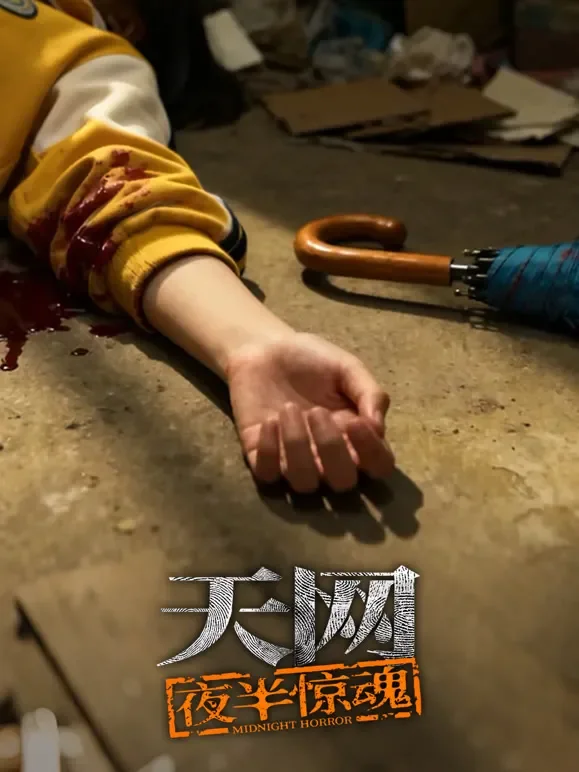 天网：夜半惊魂综艺海报