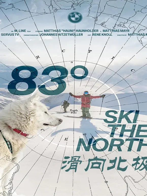 83度滑向北极综艺海报