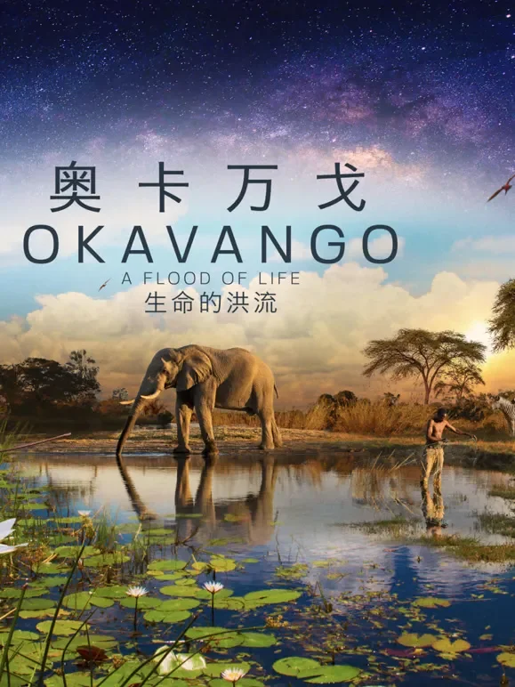 奥卡万戈：生命的洪流 中文版综艺海报