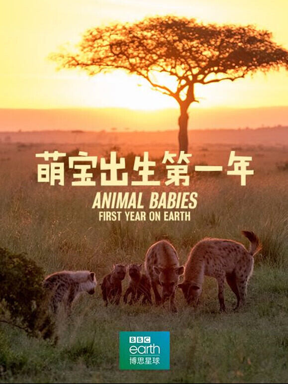 萌宝出生第一年中文版