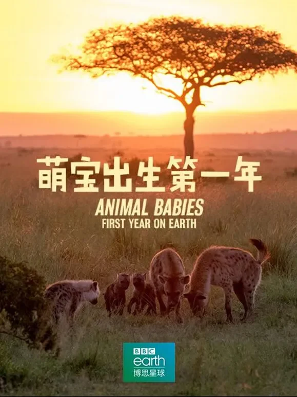 萌宝出生第一年中文版综艺海报