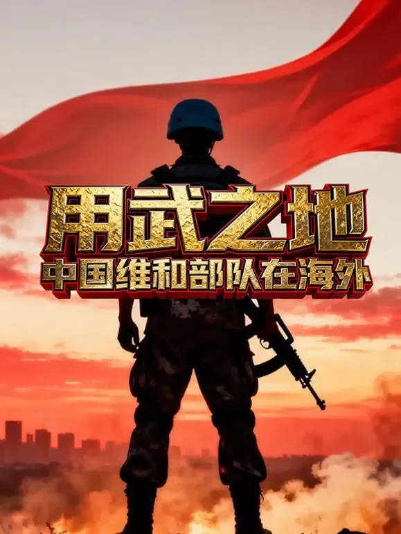 用武之地：中国维和部队在海外综艺海报