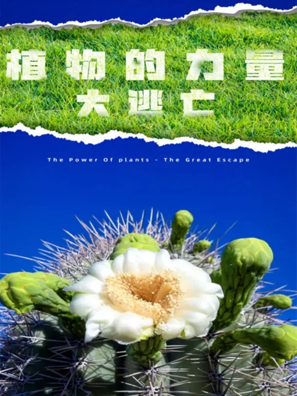 植物的力量·大逃亡综艺海报
