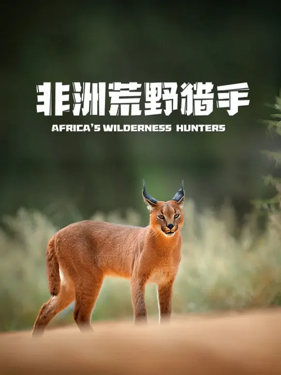 非洲荒野猎手综艺海报