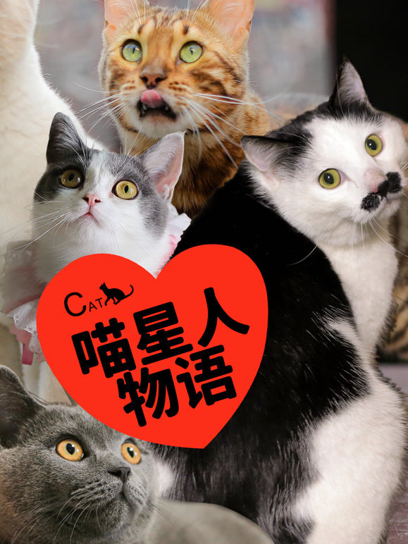 喵星人物语