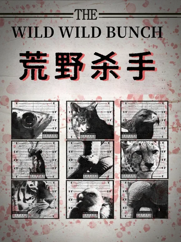 荒野杀手综艺海报