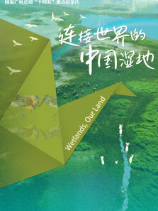 连接世界的中国湿地