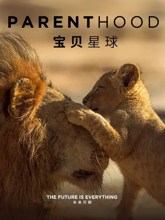 宝贝星球综艺海报