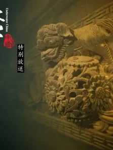 水下中国:特别放送综艺海报