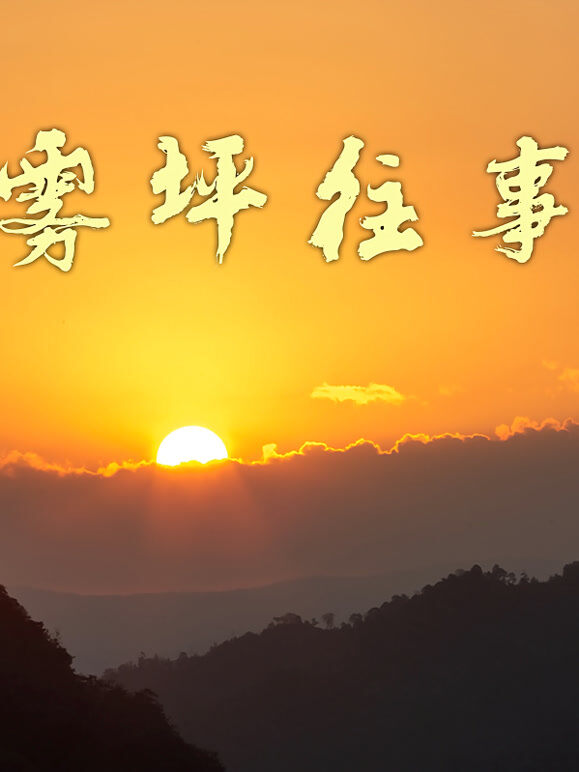 雾坪往事