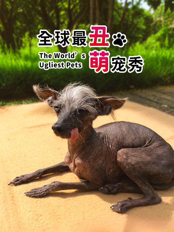 全球最丑萌宠秀