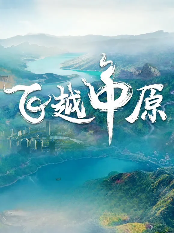 飞越中原综艺海报