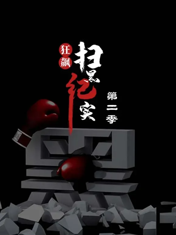 狂飙—扫黑纪实第二季综艺海报