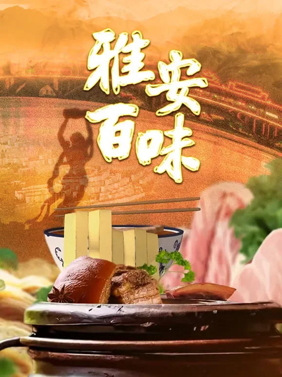 雅安百味综艺海报