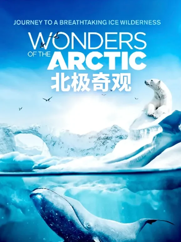 北极奇观综艺海报